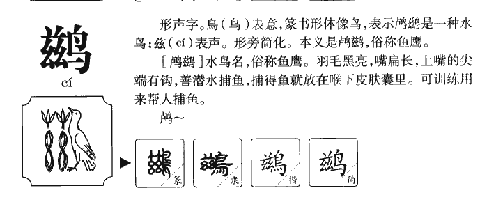 鶿