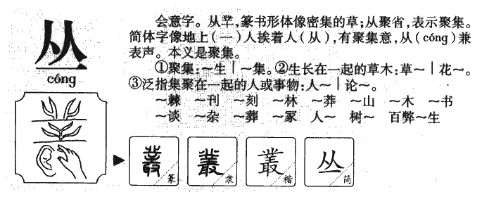 叢