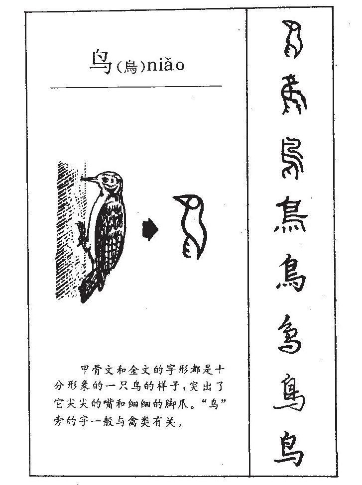 鳥