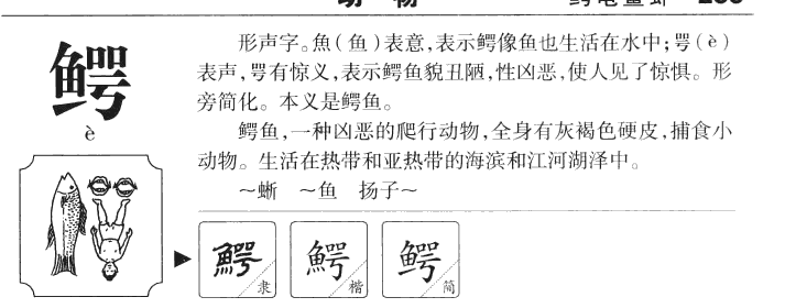 鱷
