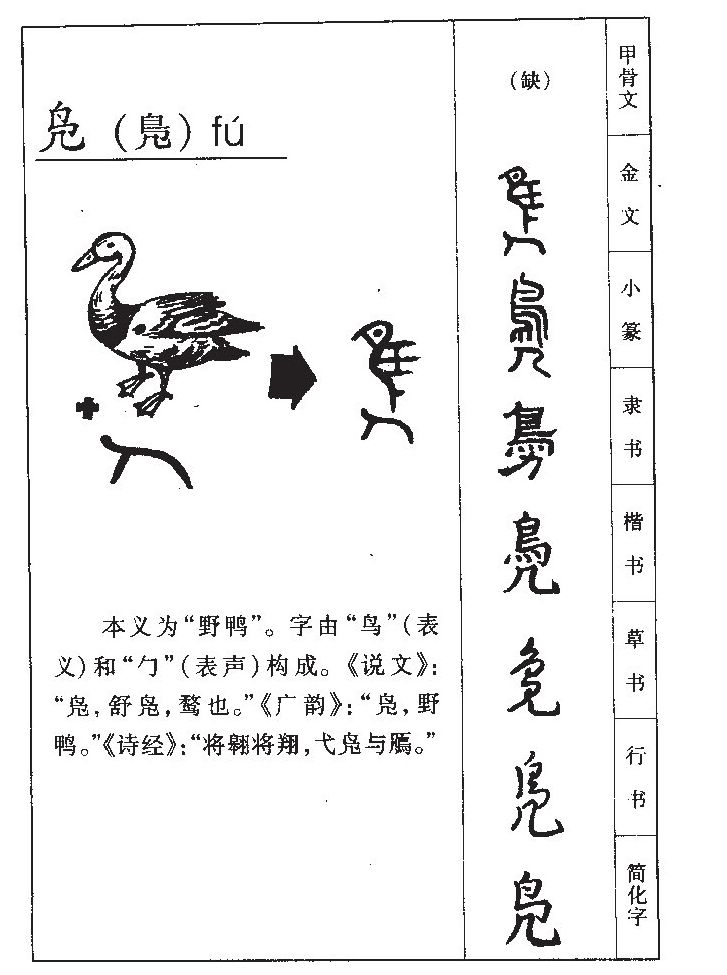 鳧