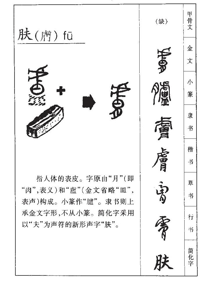 膚