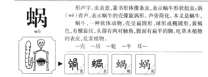 蝸