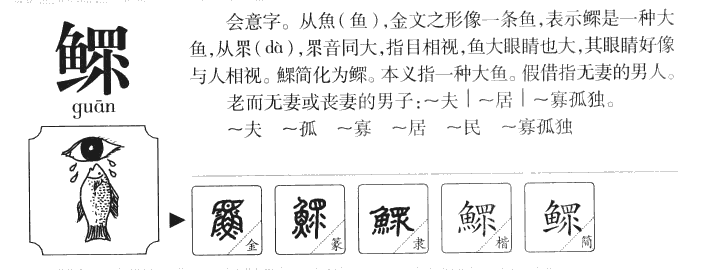 鰥