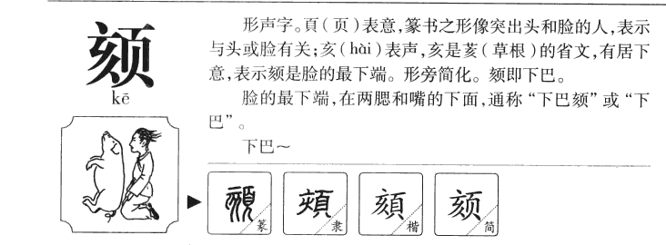 頦