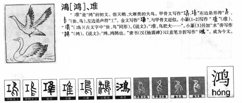 鴻