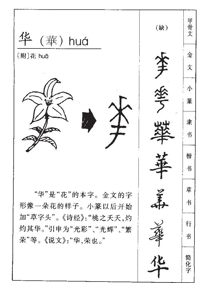 華