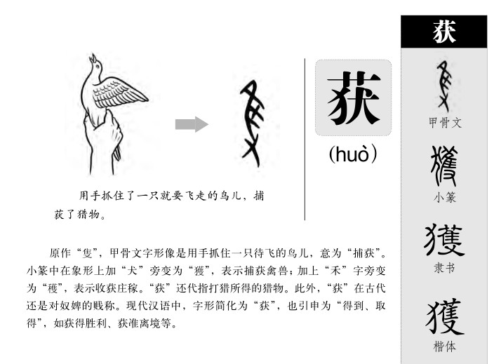 獲