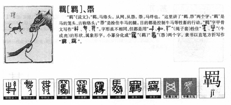 羈