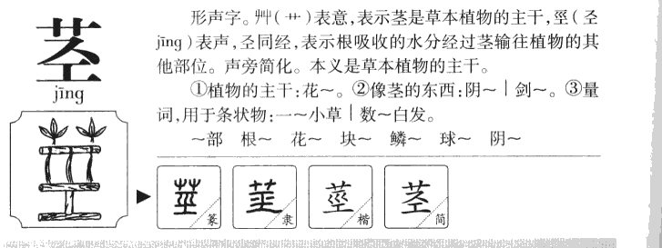 莖