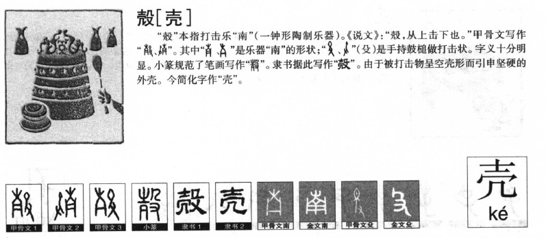 殼