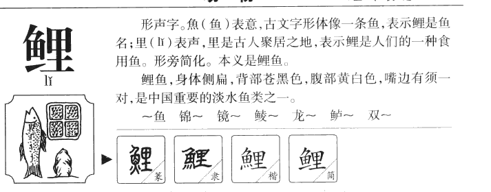 鯉