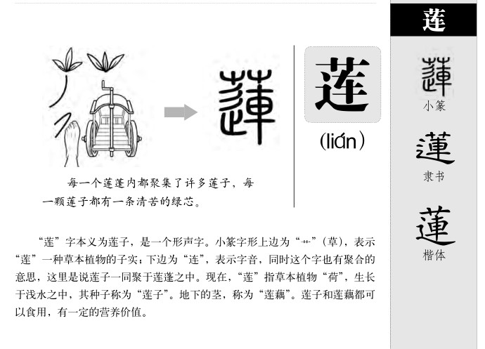 蓮