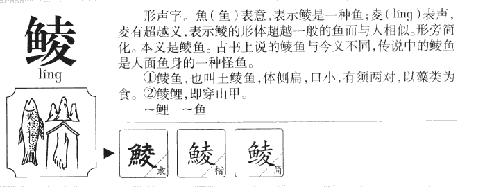 鯪