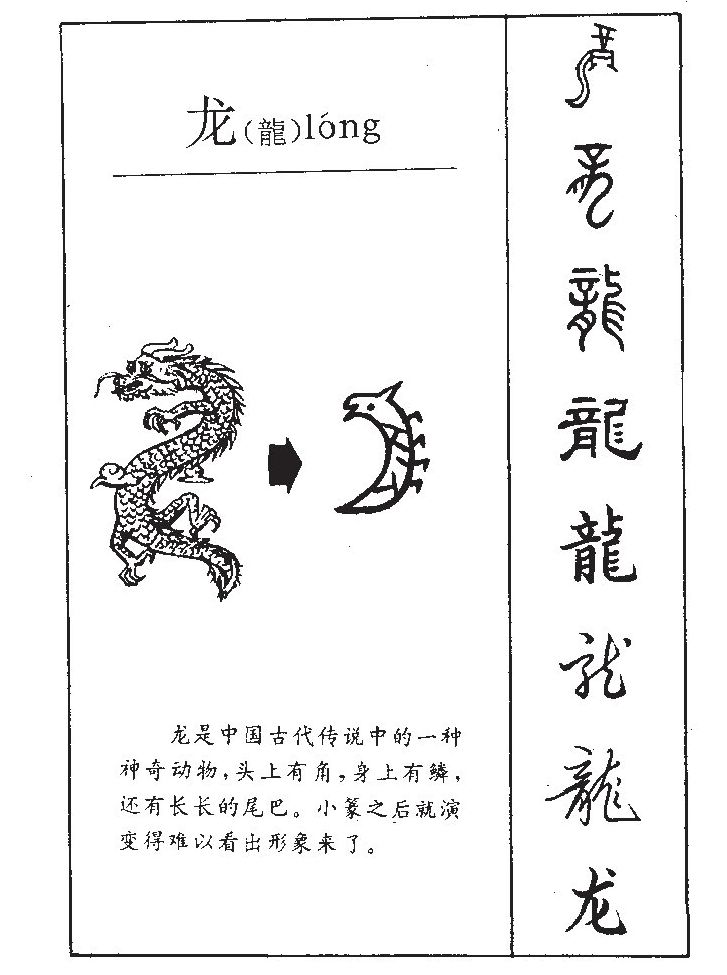 龍