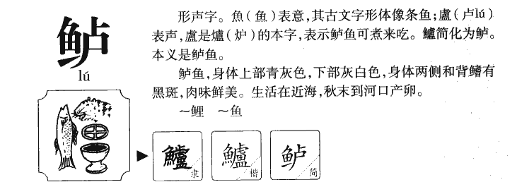 鱸