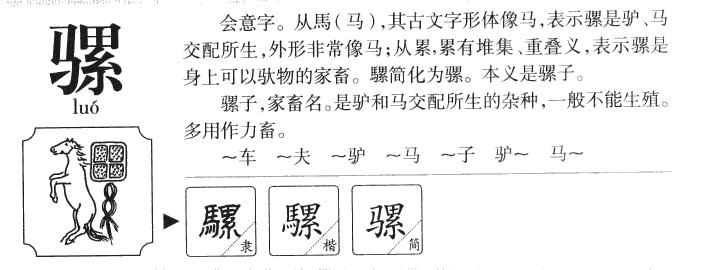騾