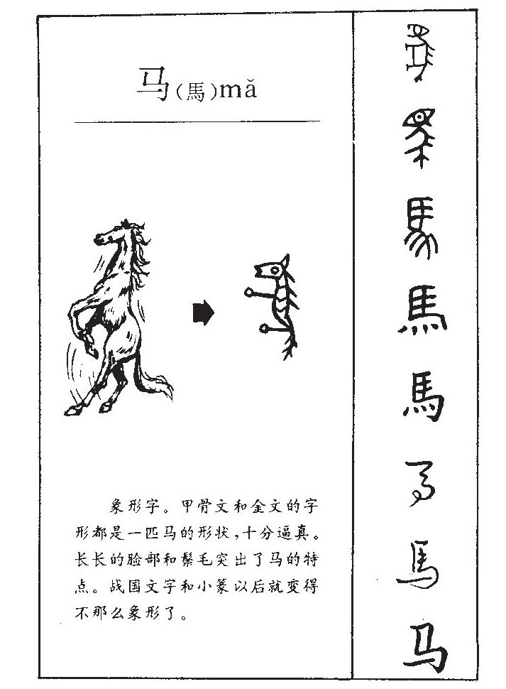 馬