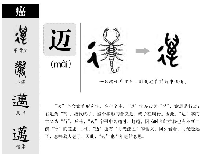 邁