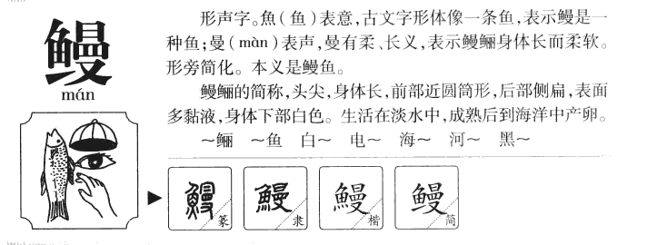 鰻