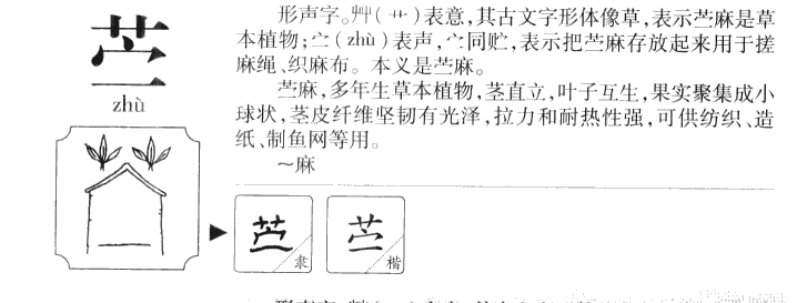 苧