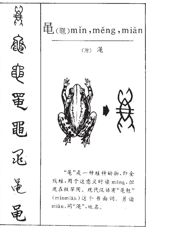 黽