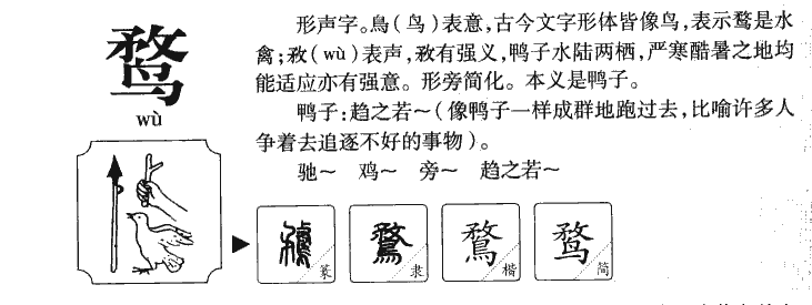 鶩