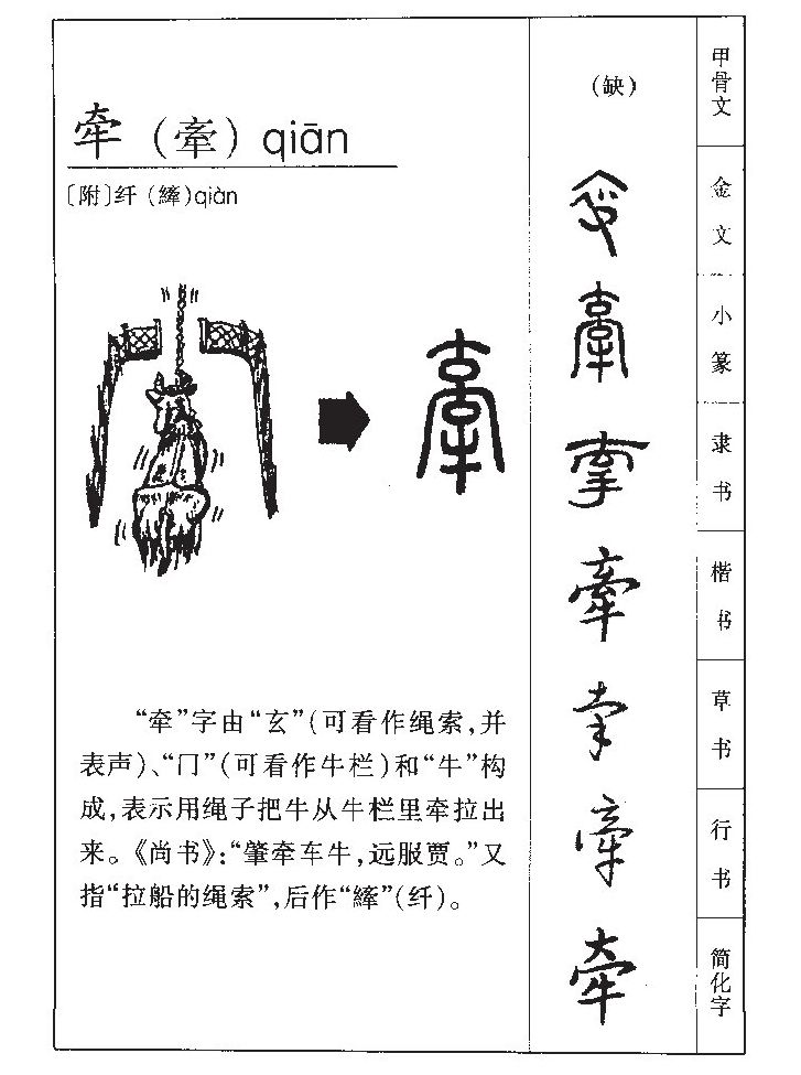 牽