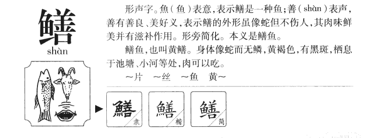 鱔