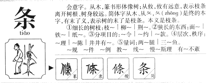 條