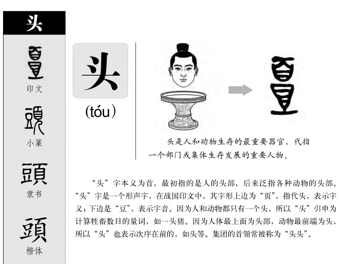 頭