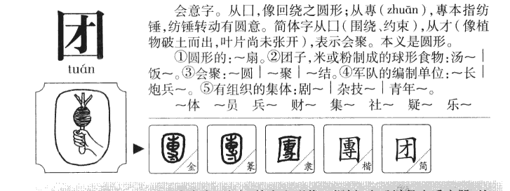團(tuán)