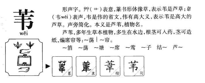葦