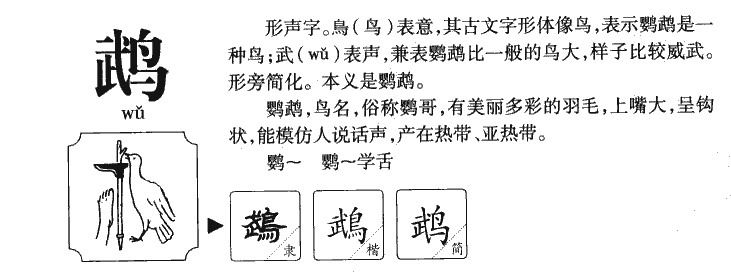 鵡