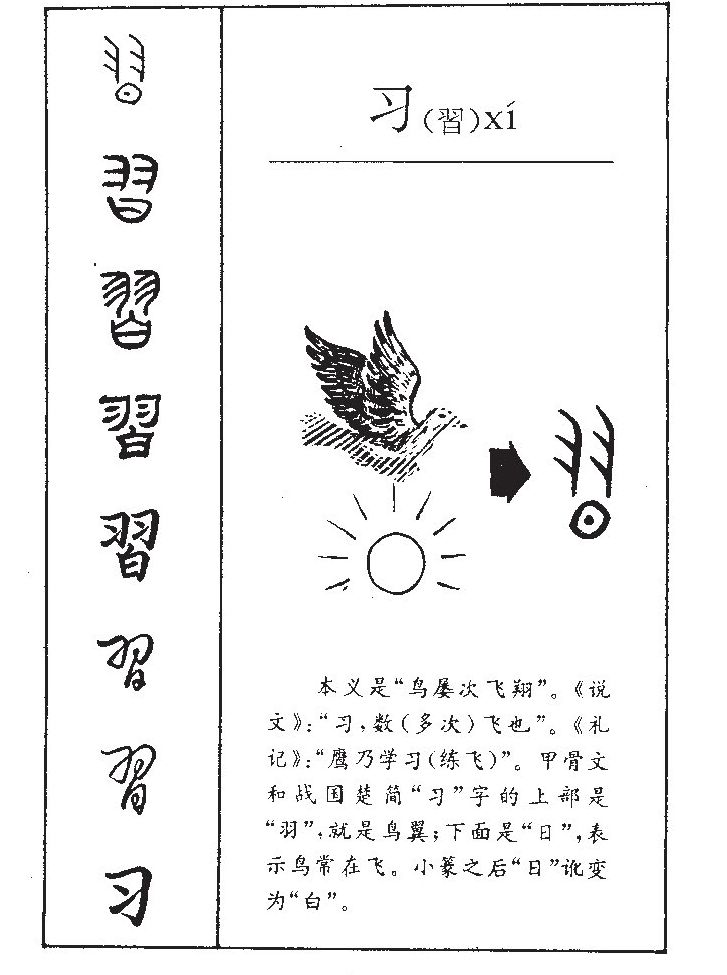 習