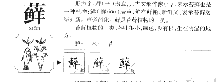 蘚