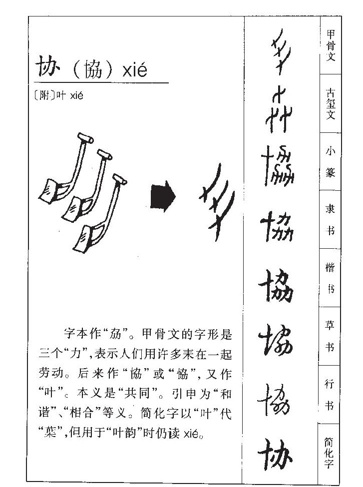 協