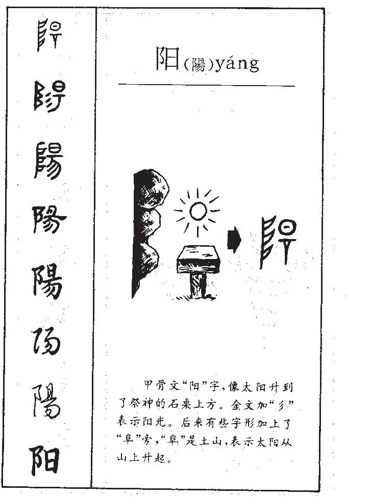 陽