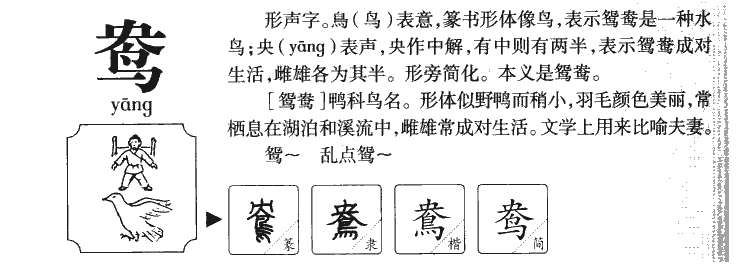 鴦