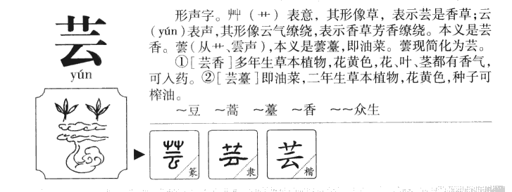 蕓