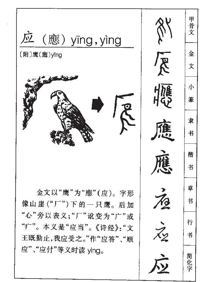 應(yīng)
