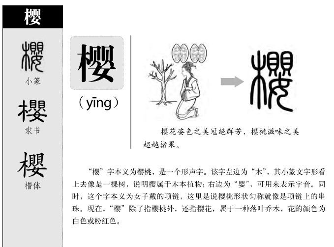 櫻