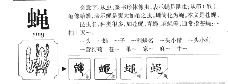 蠅