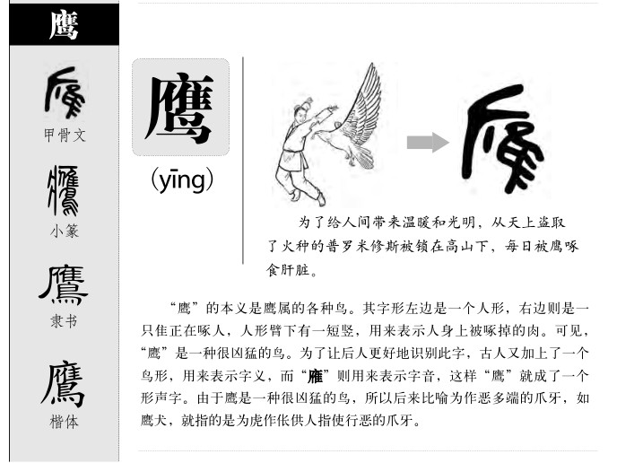 鷹