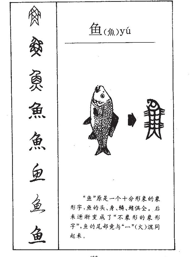 魚