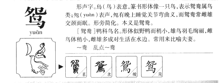 鴛