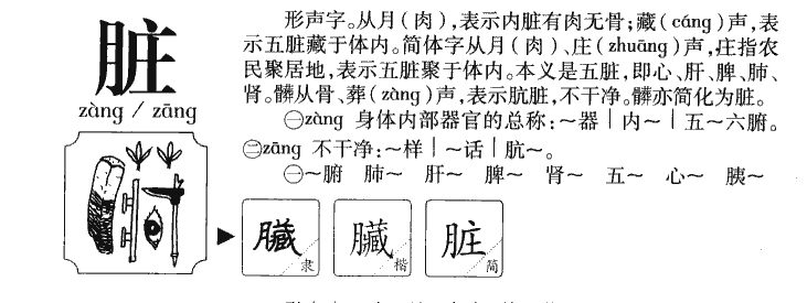 臟