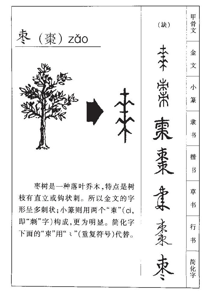 棗