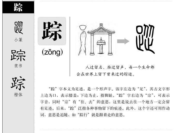 蹤