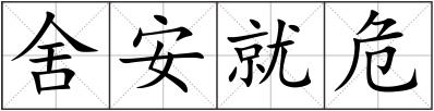 舍安就危